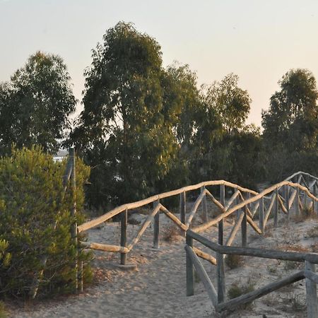 Residencial El Pinet Beach La Mariña Εξωτερικό φωτογραφία