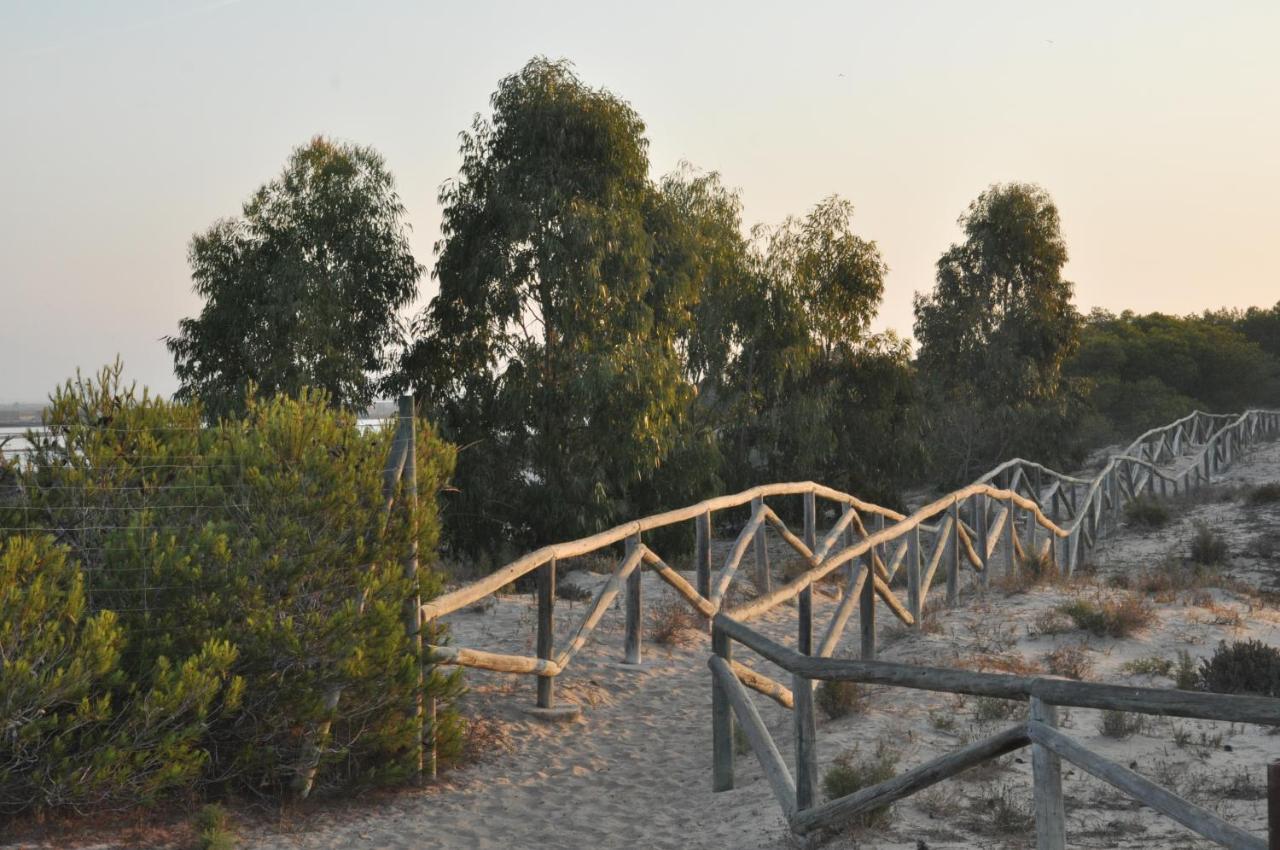 Residencial El Pinet Beach La Mariña Εξωτερικό φωτογραφία